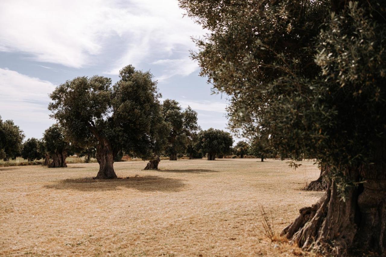 Masseria Garrappa Fasano Luaran gambar