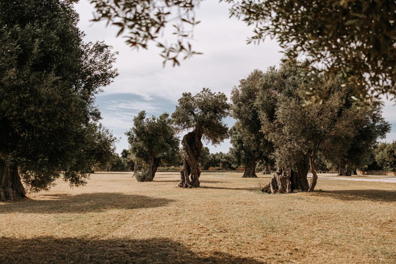 Masseria Garrappa Fasano Luaran gambar