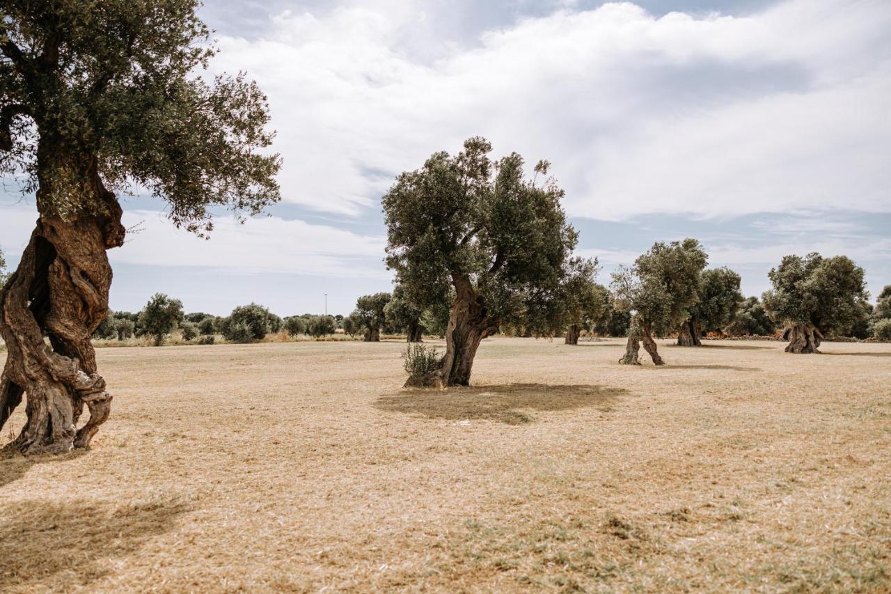 Masseria Garrappa Fasano Luaran gambar