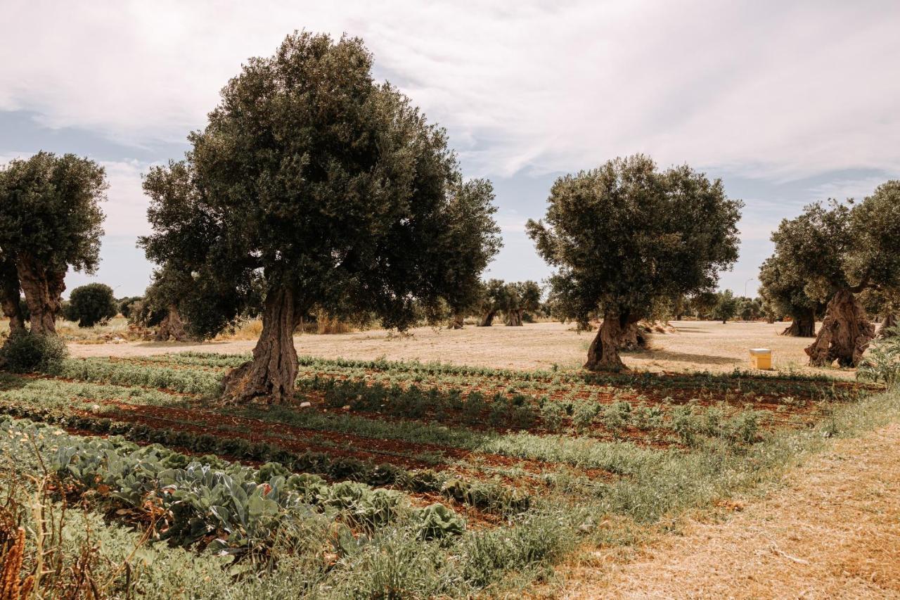 Masseria Garrappa Fasano Luaran gambar