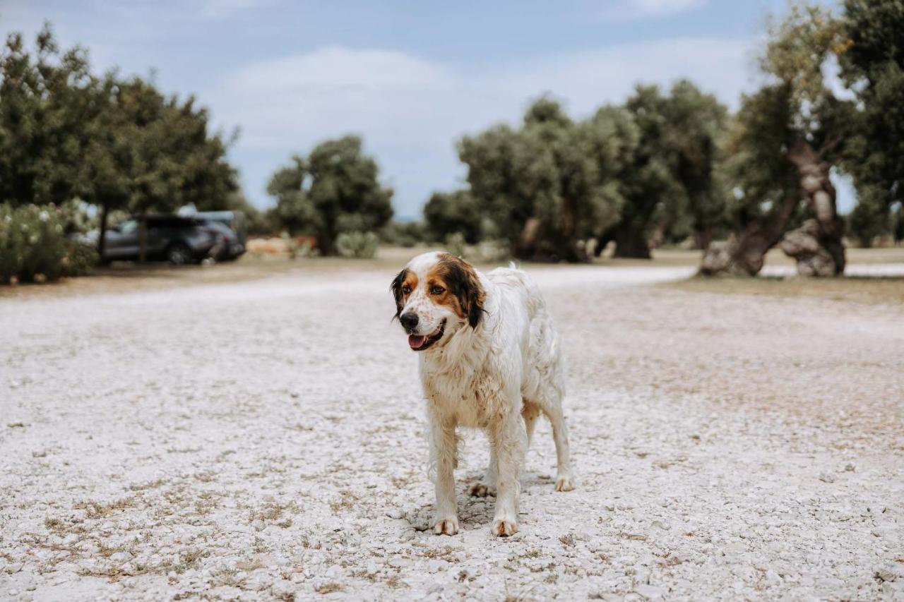 Masseria Garrappa Fasano Luaran gambar